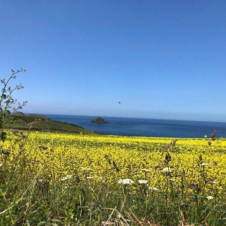 Little Valley View Otterham Εξωτερικό φωτογραφία